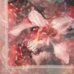 Laurel scarf - Image 3