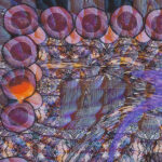 Purple Wings scarf - Image 3